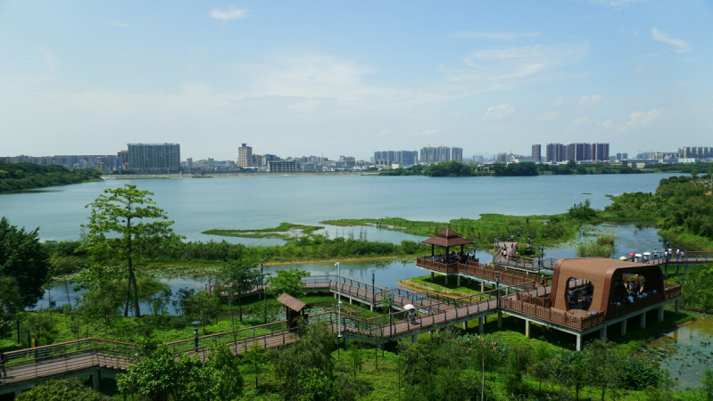 盤點深圳十大最美公園，你最愛的是哪個公園？